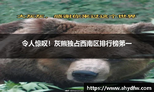 im电竞官方网站