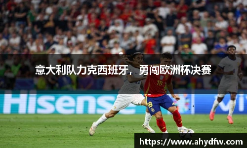 im电竞官网入口