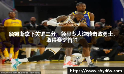 im电竞官网入口