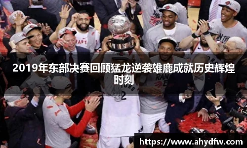im电竞官网入口