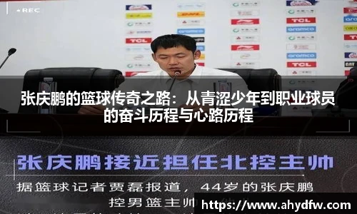 im电竞官网入口