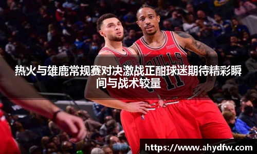 im电竞官网入口