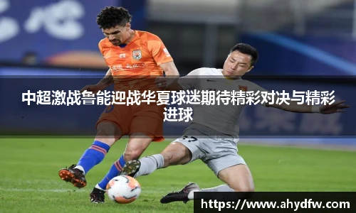 im电竞官网入口