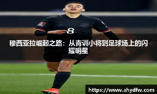 im电竞官网入口